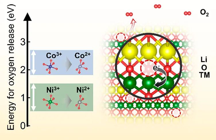 ACS Energy Lett.: 熱力學(xué)分析定量評(píng)估鋰離子電池正極中的晶格氧穩(wěn)定性