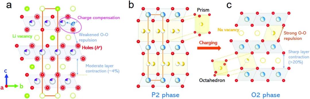 劉奇/谷林/李成超Adv. Sci.：激活電荷補償，穩(wěn)定P2型鈉離子正極高壓結(jié)構(gòu)