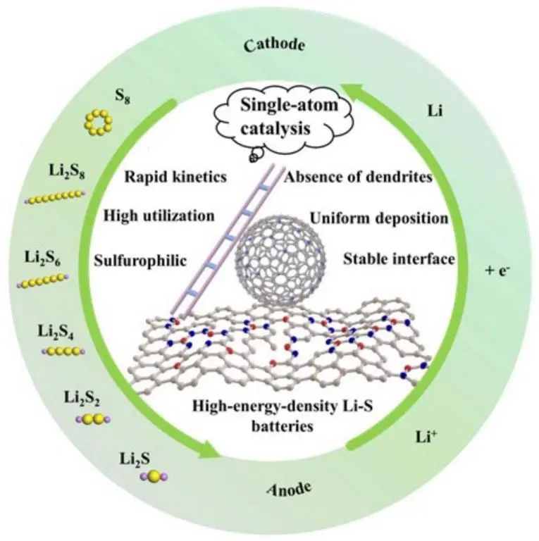 余彥/劉軍AM綜述: 高能量密度鋰硫電池單原子催化劑的開發(fā)進展