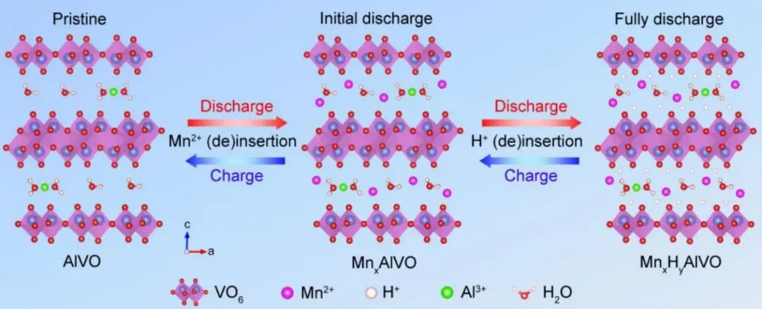 南開牛志強Angew: 一種基于Mn2+和質(zhì)子共插層的水系錳離子電池