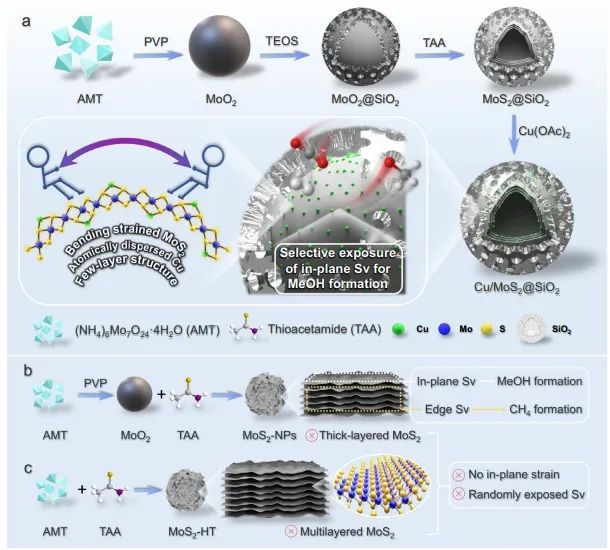 催化頂刊集錦：Angew、JACS、Nature子刊、AFM、ACS Catal.、Adv. Sci.等成果