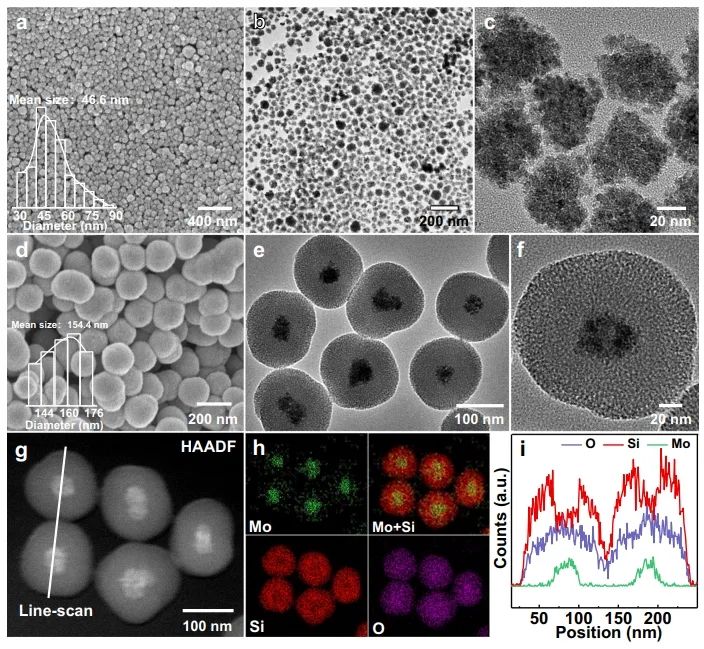 催化頂刊集錦：Angew、JACS、Nature子刊、AFM、ACS Catal.、Adv. Sci.等成果