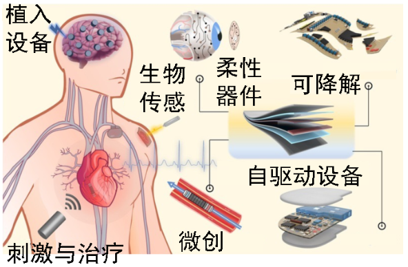 厲害！90后，國家重點研發(fā)計劃首席科學(xué)家!