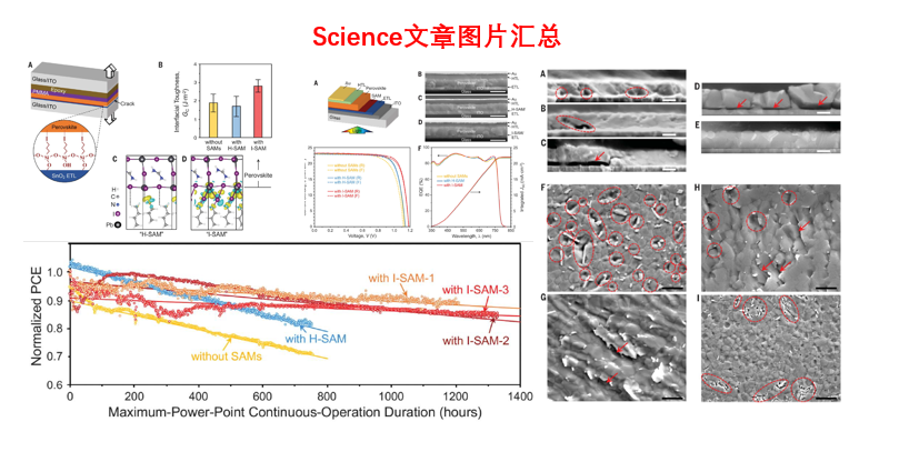 相同方法，為何老外發(fā)Science，國(guó)人只發(fā)JMCA？大神來(lái)剖析！