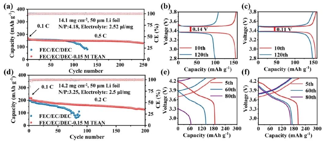 河大趙勇ACS Energy Lett.：陽離子尺寸效應(yīng)促進(jìn)NO3-在酯類電解液中的溶解