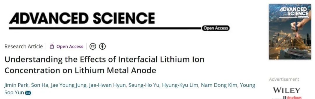 Adv. Sci：闡明界面鋰離子濃度對(duì)鋰金屬負(fù)極的影響