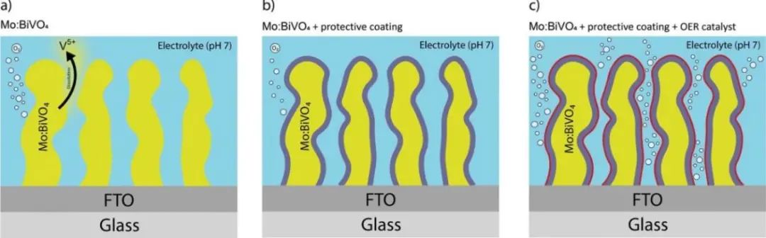 AFM：Fe0.1Ni0.9O薄膜保護(hù)的Mo:BiVO4光電極用于高效穩(wěn)定光電化學(xué)OER