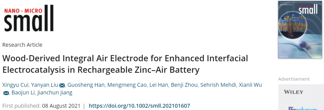 鄭大武現(xiàn)麗等Small：木材衍生的空氣電極助力可再充電ZABs界面電催化