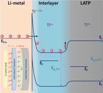 AFM：定制能帶對齊的界面建模實現(xiàn)電化學穩(wěn)定的全固態(tài)鋰金屬電池