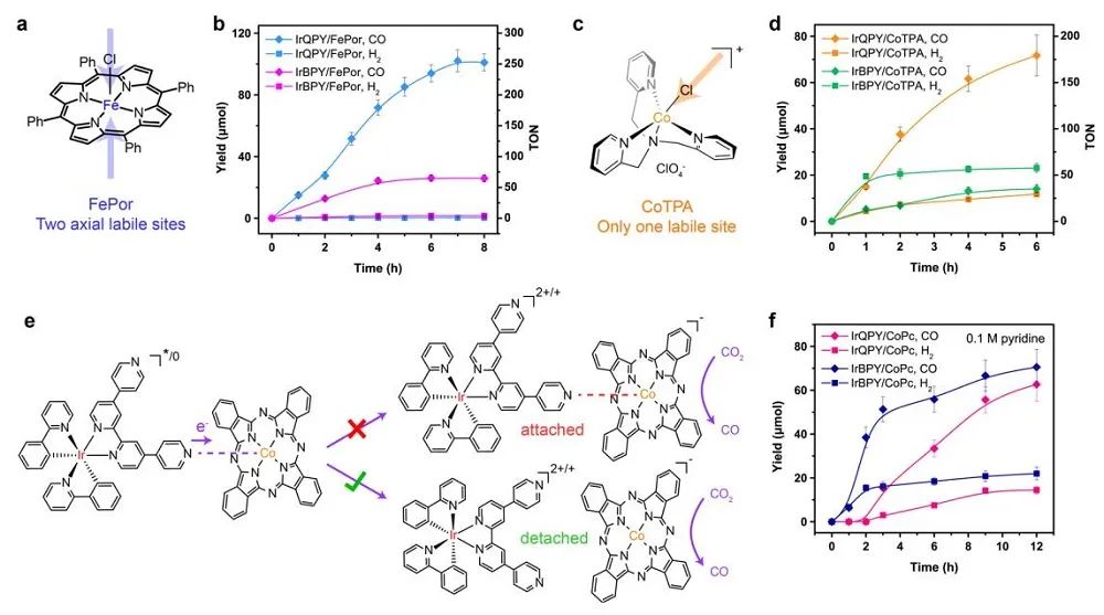 歐陽(yáng)鋼鋒Nature子刊：近100%選擇性！動(dòng)態(tài)協(xié)同下的快速電子轉(zhuǎn)移提高光催化CO2還原的量子效率