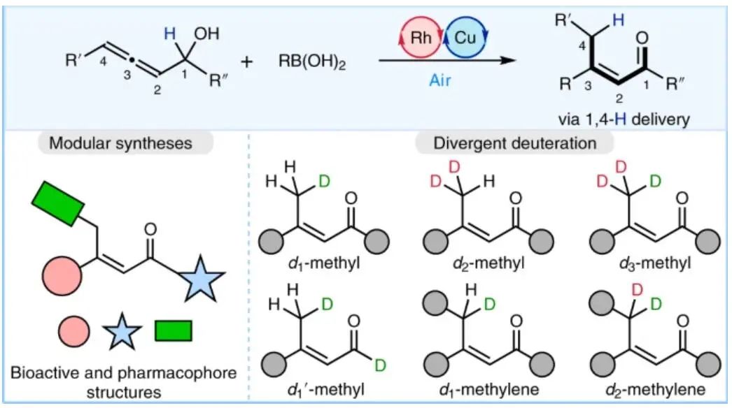 上海有機(jī)所&復(fù)旦Nature Catalysis：E-型烯醛/烯酮合成新策略！