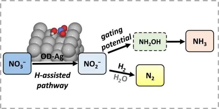 ACS Catalysis：對亞硝酸鹽和氨的選擇性可調(diào)的氧化物衍生銀用于電催化硝酸鹽還原