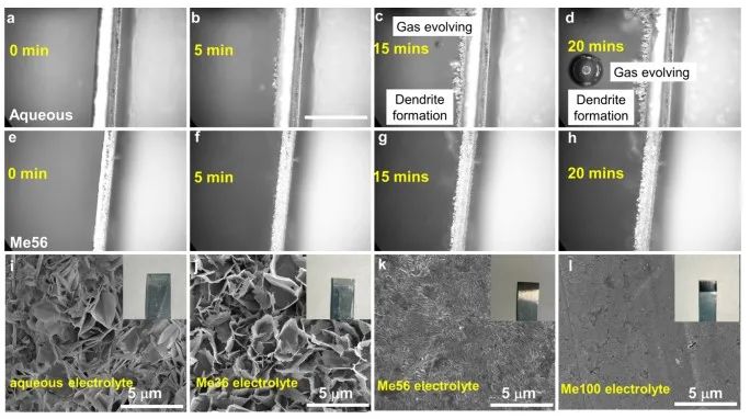 JACS：“鋅”策略！犧牲溶劑化鞘改變溶劑化結構助力水系鋅離子電池實用化