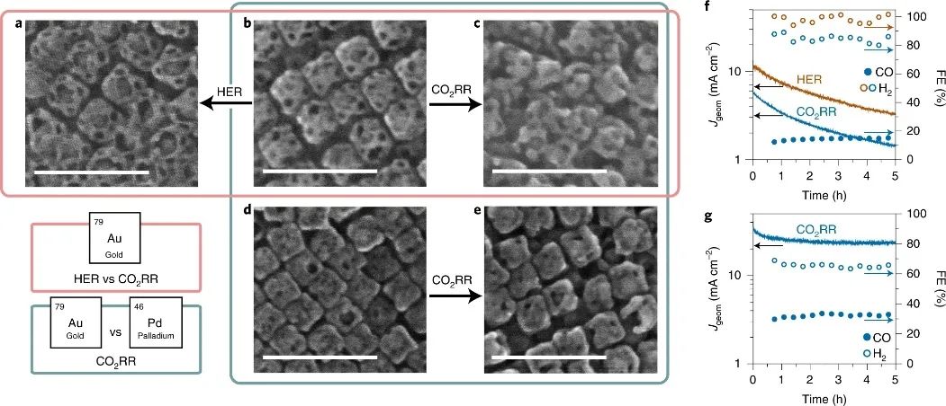 最新Nature Catalysis：探究電催化劑的結(jié)構(gòu)轉(zhuǎn)變