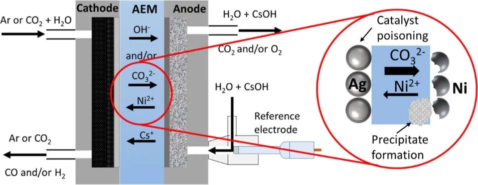 ACS Energy Lett.：局部化學(xué)環(huán)境控制CO2電解槽中的陽(yáng)極過(guò)程