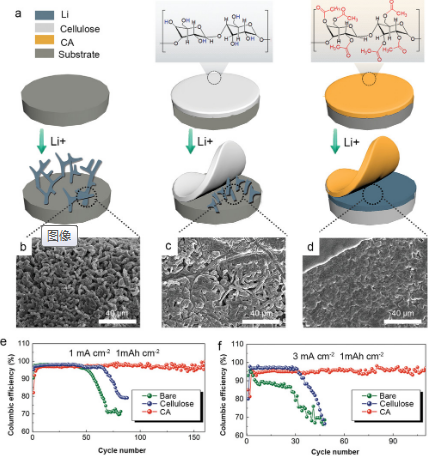 ?AFM：酯基與鋰鹽的結(jié)合：醋酸纖維素為穩(wěn)定的鋰金屬負(fù)極提供富LiF界面