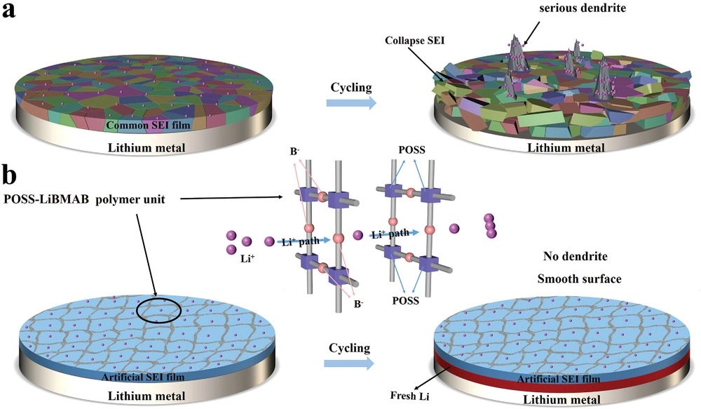 中大孟躍中/王拴緊Small：這種人工SEI層，實(shí)現(xiàn)鋰金屬負(fù)極循環(huán)1000小時(shí)！