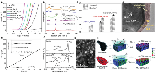 瘋狂收割頂刊！“OER重構(gòu)”大匯總：AFM/Matter/Angew/Nano Energy等