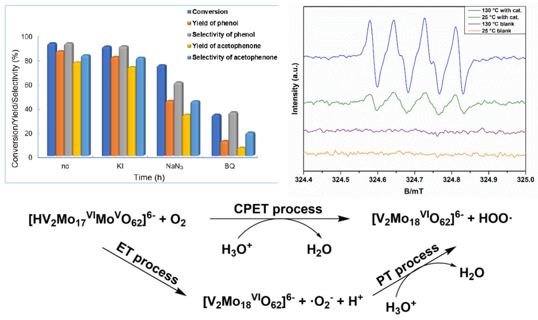 ACS Catalysis封面：開發(fā)新型Dawson結(jié)構(gòu)雜多酸實現(xiàn)木質(zhì)纖維素高效轉(zhuǎn)化