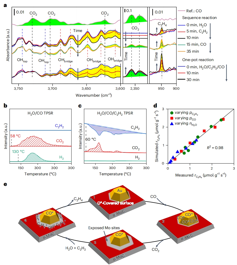 超強(qiáng)！一周內(nèi)Nature大子刊三連擊！大化所鄧德會/于良再發(fā)Nature Catalysis！