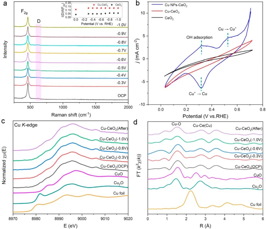 催化頂刊合集：Nature子刊、Angew、AFM、ACS Nano、ACB、Nano Lett等成果！