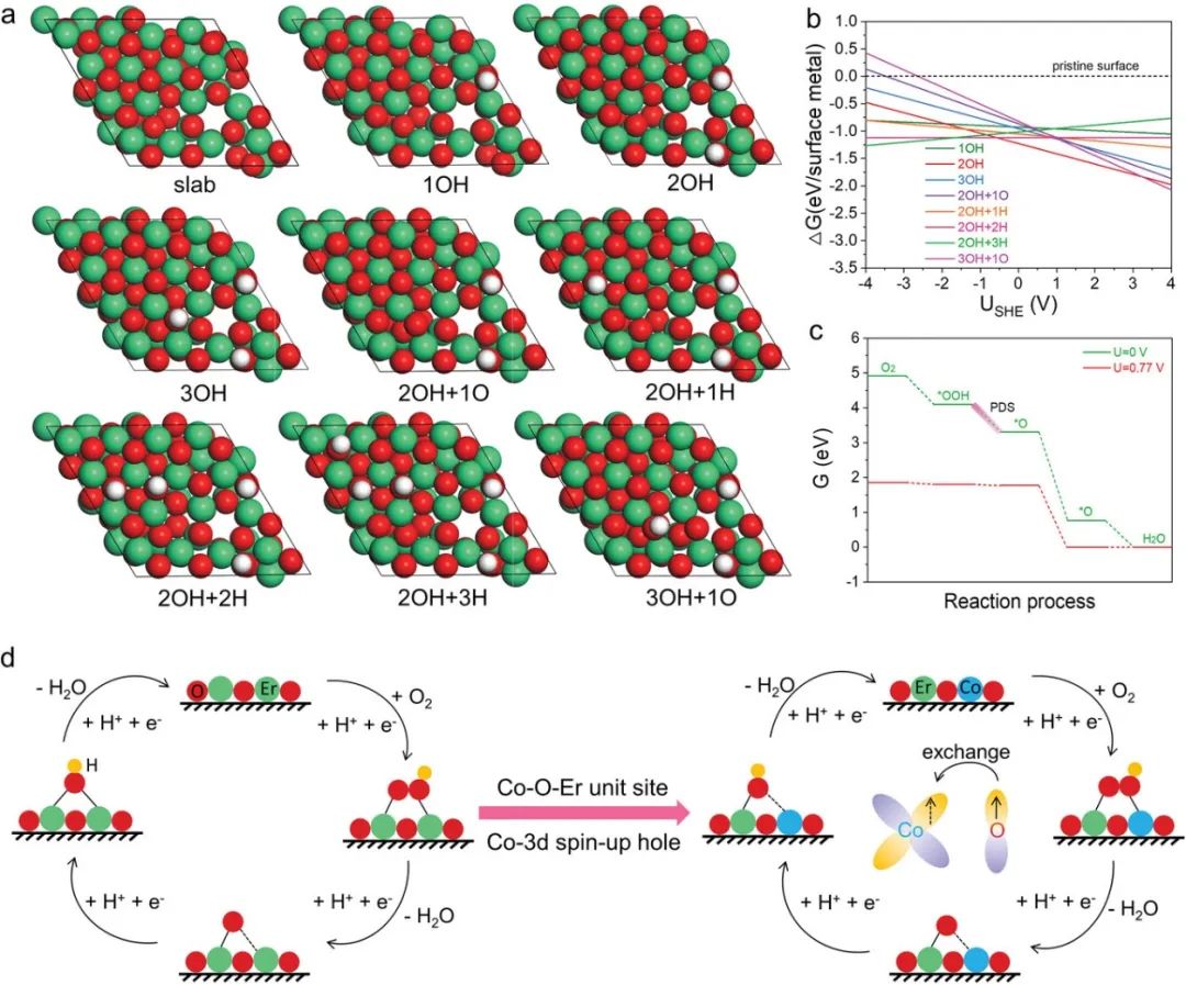 催化頂刊合集：JACS、ACS Catalysis、AM、AEM、CEJ、Small等成果！