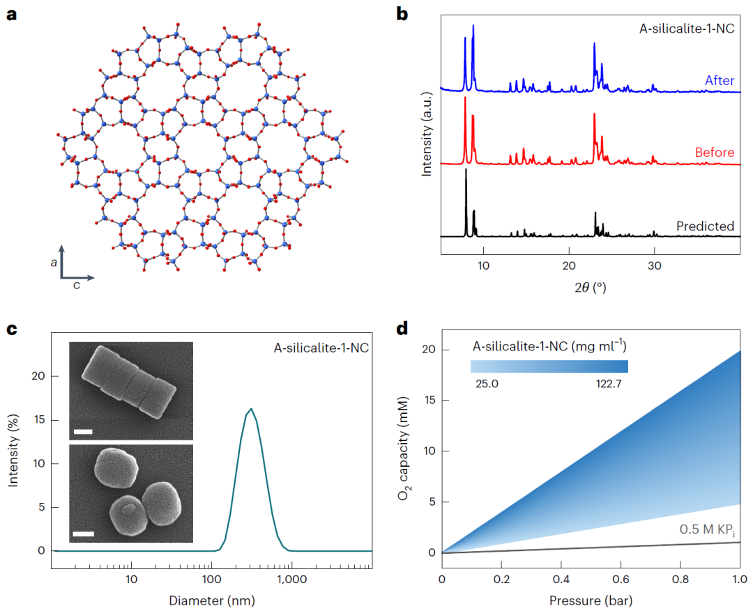 最新Nature Catalysis，在微孔中增強(qiáng)電催化氧還原活性！