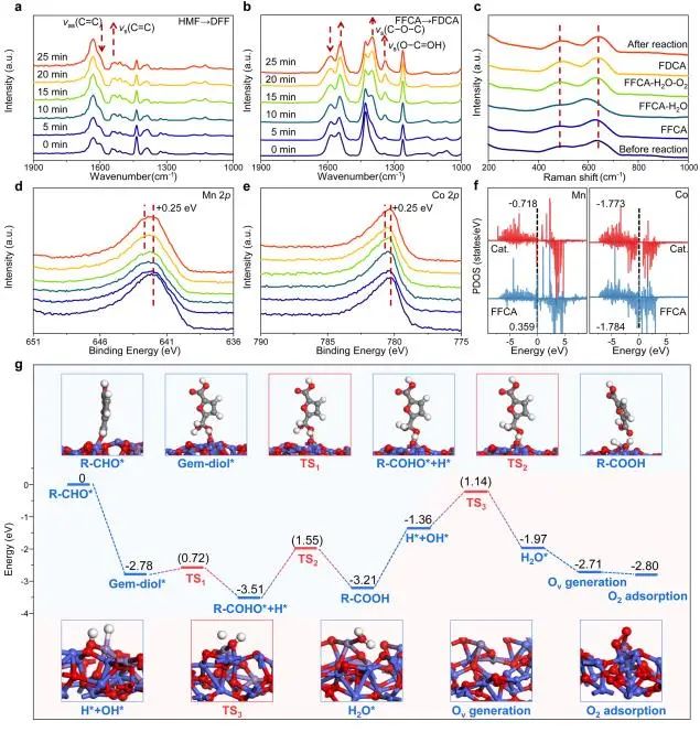 衛(wèi)敏/楊宇森ACS Catalysis：多相界面催化劑電子局部交換，增強(qiáng)生物基平臺(tái)化合物高選擇性氧化