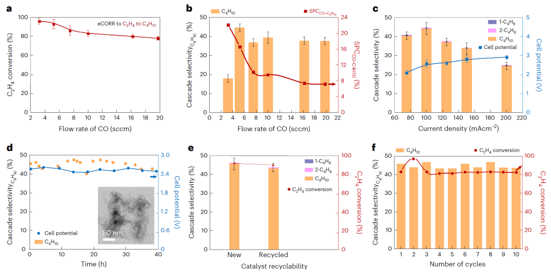 超燃！他發(fā)表第16篇Nature Catalysis，第36篇JACS！