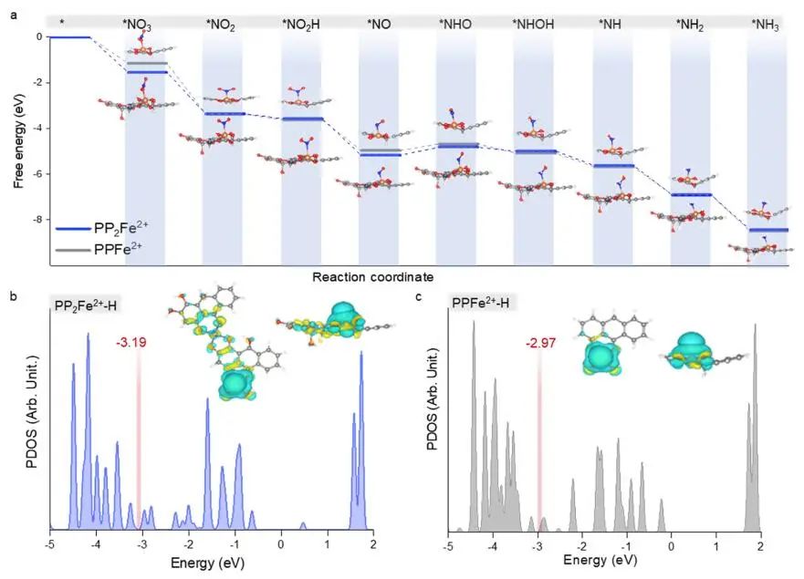 計(jì)算文獻(xiàn)速遞：Nature Catalysis、EES、JACS、Chem、EnSM、Nat. Commun.等！