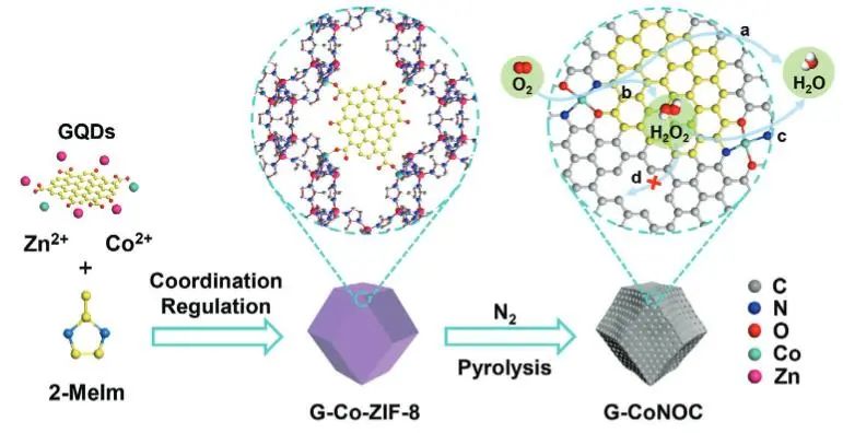 催化頂刊集錦：JACS、Nature子刊、ACS Catal.、AFM、Small、Carbon Energy等最新成果！