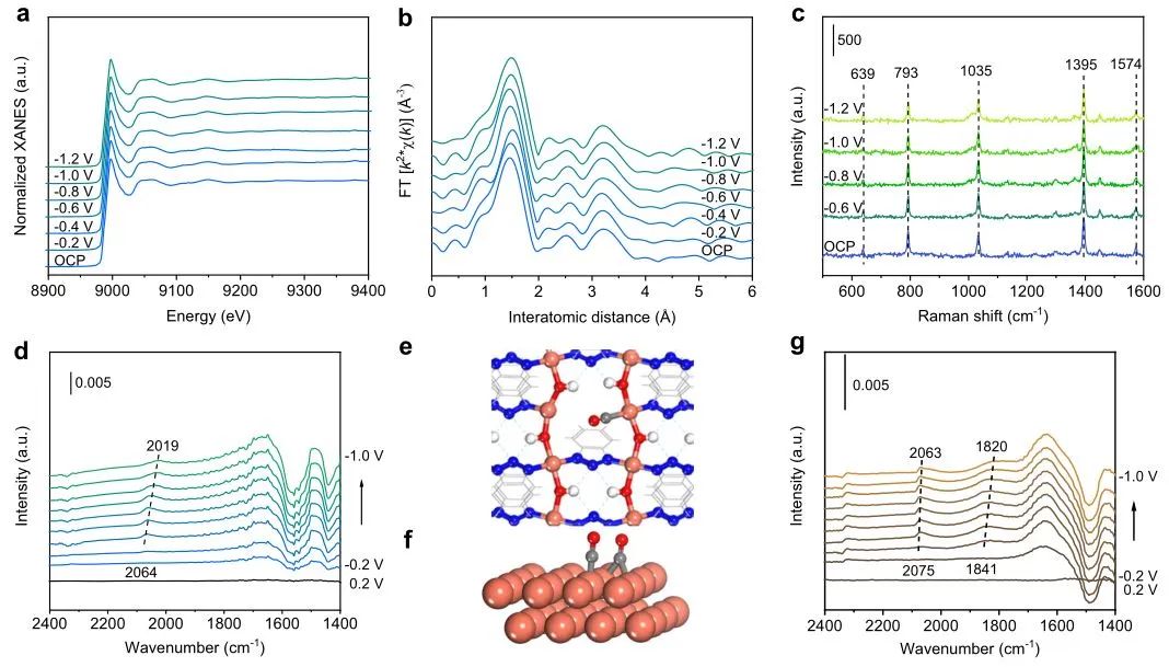 ?計算+實驗頂刊：Nature子刊、AFM、AEM、Small、ACS Catalysis等成果精選！