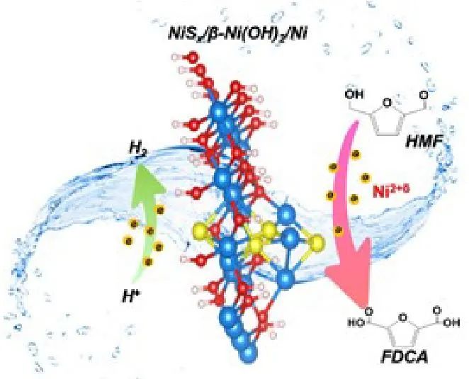 計算+實驗頂刊集錦：Angew、AM、AFM、ACS Catalysis、Small等成果精選！