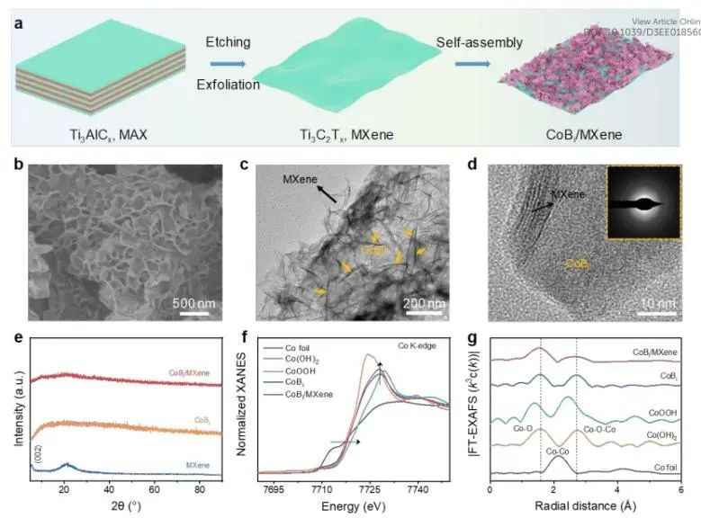 催化頂刊速遞：Nature Catalysis、EES、Nature子刊、Angew、Sci. Adv.、ACS Nano等成果