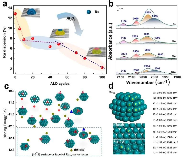 ACS Catalysis：計(jì)算+實(shí)驗(yàn)！揭示Ru基催化劑上CO2甲烷化的內(nèi)在機(jī)理！