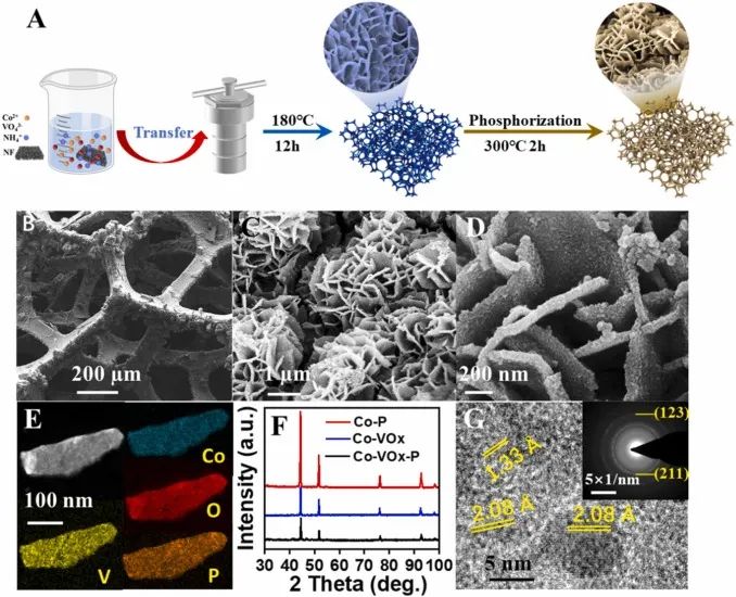 8篇催化頂刊：Angew.、AFM、Small、Chem. Eng. J.、ACS Catal.等最新成果