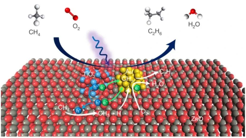 8篇催化頂刊：Nat. Catal.、JACS、Angew.、Chem、Nat. Commun.等成果