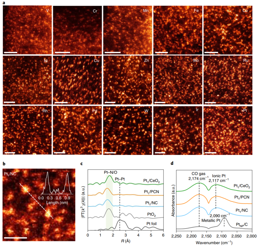 呂炯/李雋等人Nature Nanotechnology：規(guī)?；苽鋯卧哟呋瘎饘佥d量可達(dá)23 wt%！