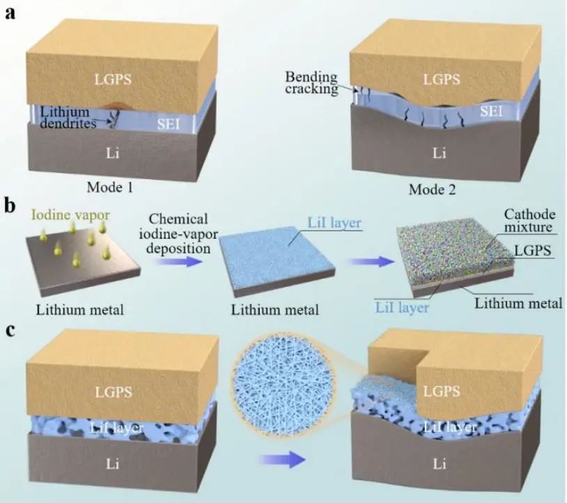 周豪慎/何平EES：化學碘氣相沉積提高全固態(tài)鋰硫電池中鋰負極的相容性