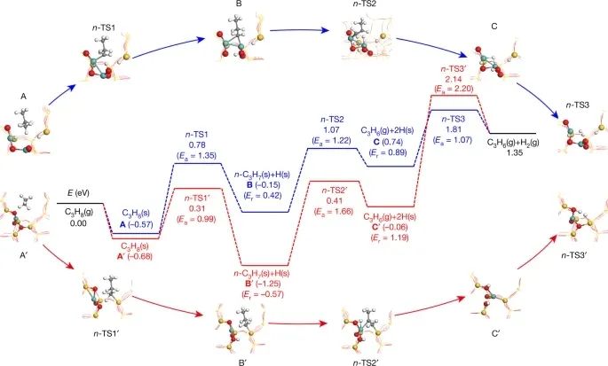 中國石油大學最新Nature！