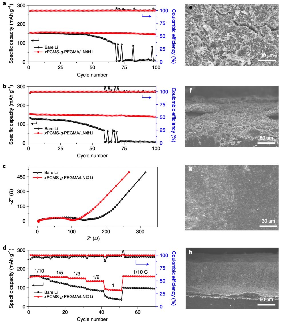 中山大學(xué)Nat. Nanotechnol.，剛?cè)岵?jì)另一種玩法！全有機(jī)鋰保護(hù)層！