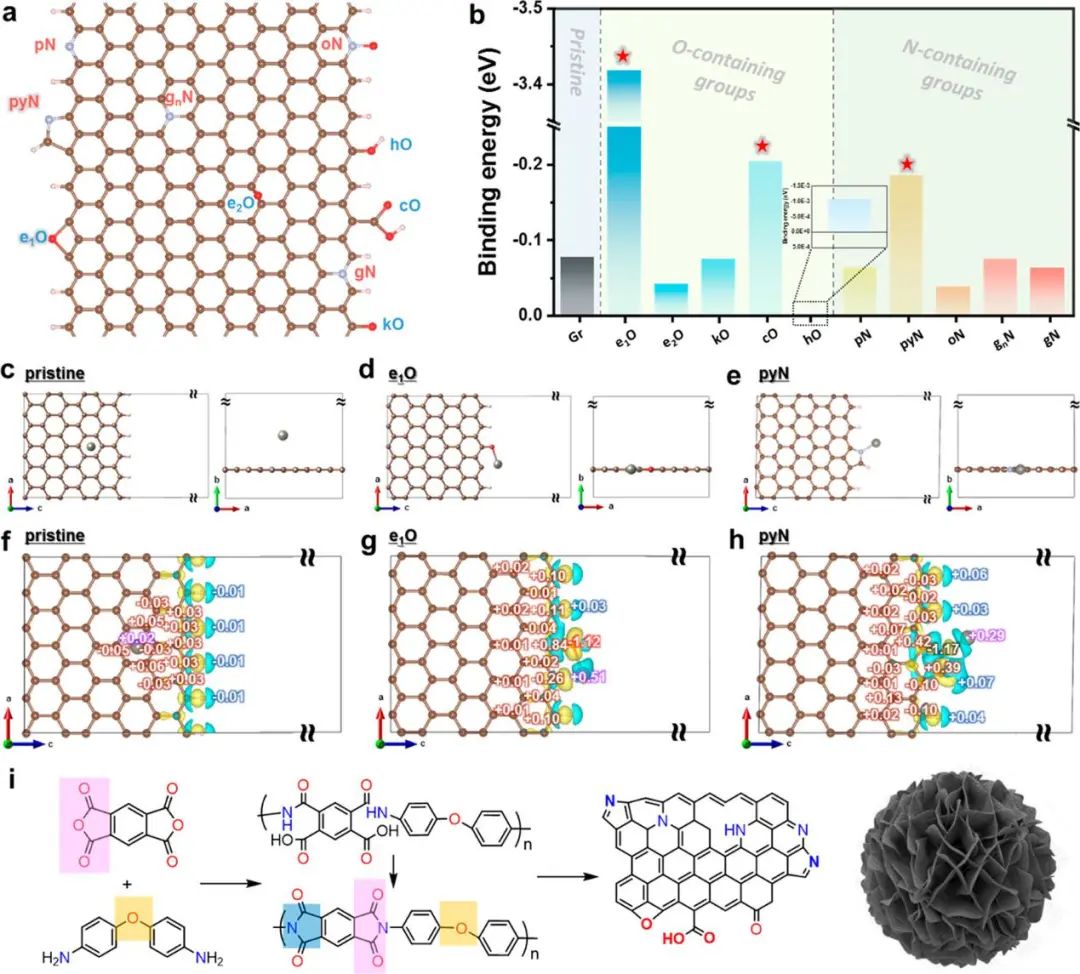 阿爾伯塔大學(xué)王曉磊Nano Lett.: O/N共摻雜碳微花實(shí)現(xiàn)高效鋅金屬負(fù)極