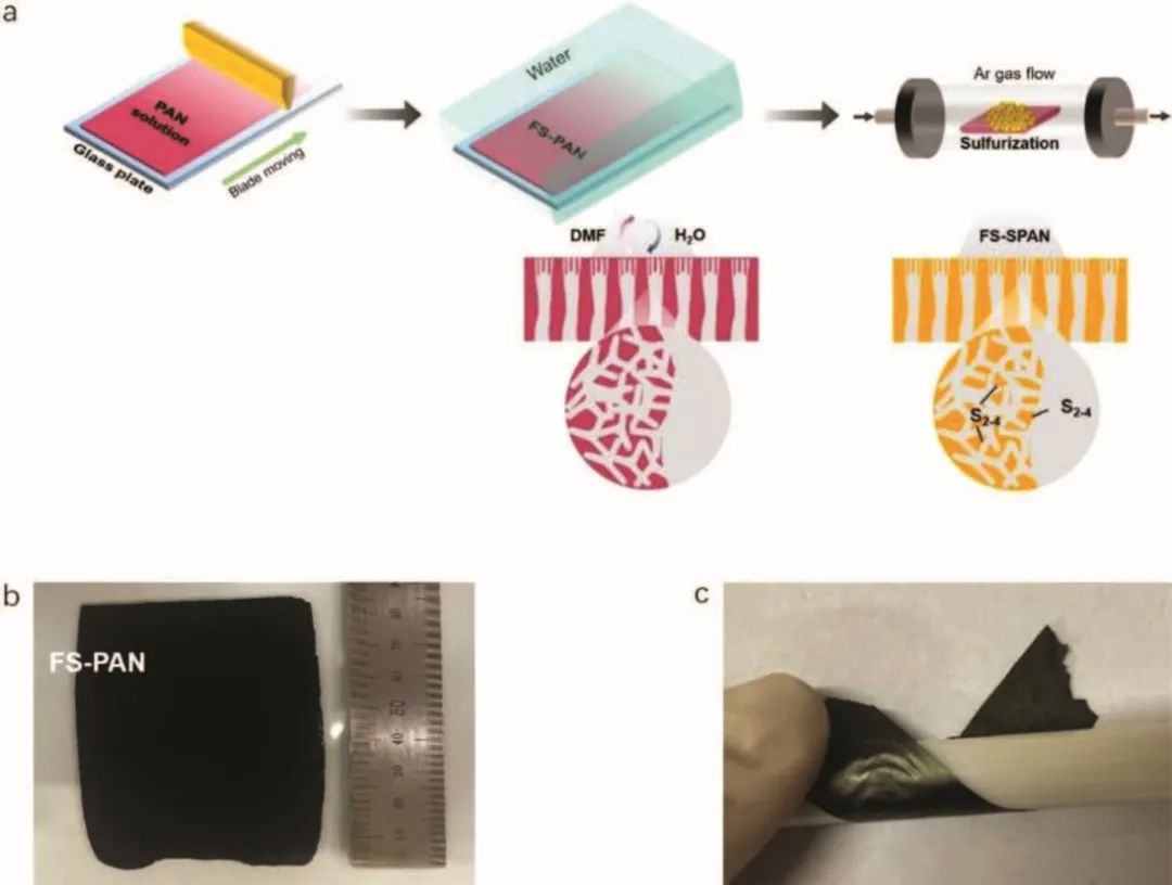 成均館大學Small Methods：用于鉀硫電池的無粘結劑、高負載正極