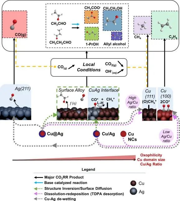 ACS Nano: 用于CO2電還原的負(fù)載亞10 nm Cu-Ag納米晶體的映射成分-選擇性關(guān)系
