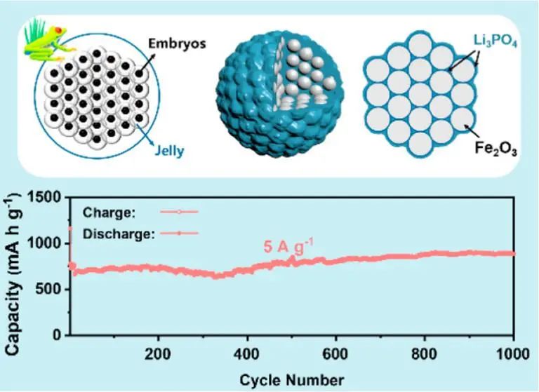 北大黃富強教授ACS Nano: 受蛙卵啟發(fā)的用于穩(wěn)健鋰存儲的通用策略