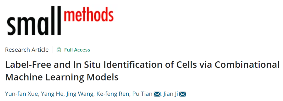 吉大&浙大Small Methods: 組合機(jī)器學(xué)習(xí)模型用于細(xì)胞的無(wú)標(biāo)記和原位識(shí)別