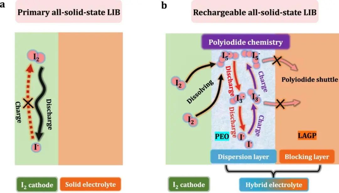 周豪慎/何平Nature子刊：全固態(tài)可充電Li-I2電池，可循環(huán)9000次！