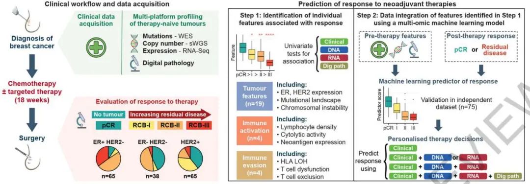 劍橋大學(xué)Nature: 預(yù)測乳腺癌治療反應(yīng)的多組學(xué)機(jī)器學(xué)習(xí)預(yù)測器