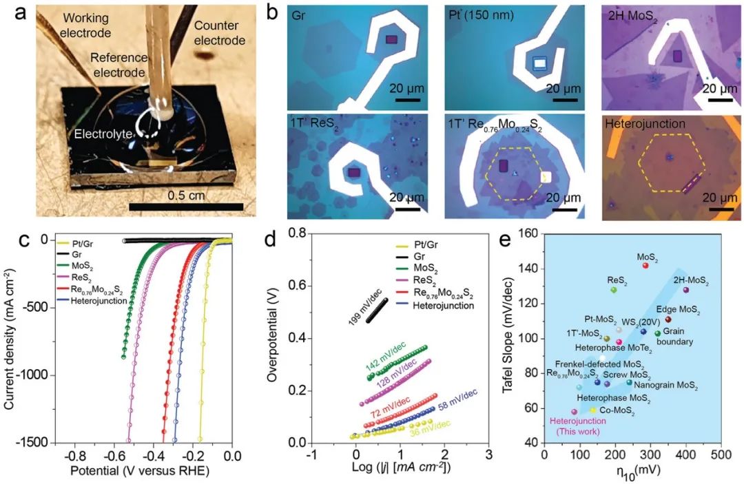 催化頂刊集錦：AFM、JMCA、AEM、AM、ACS Catalysis、Small等成果