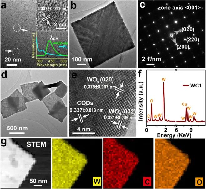 催化頂刊集錦：AFM、Appl. Catal. B.、Small、EnSM、Chem. Eng. J.等最新成果